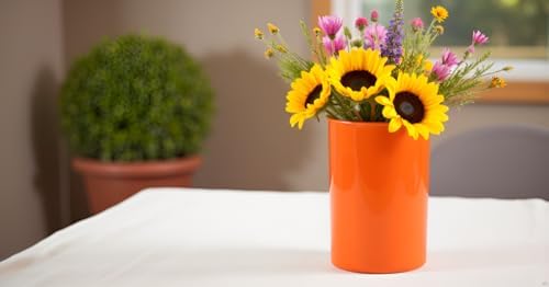 Calypso Basics by Reston Lloyd Plastic Utensil Holder, Orange