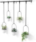 Umbra Triflora Hanging Planter, Window Herb Garden, Set of 5, White/Black