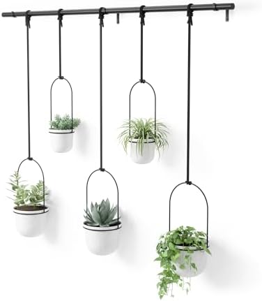 Umbra Triflora Hanging Planter, Window Herb Garden, Set of 5, White/Black