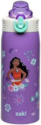 Zak Designs Disney Princess Sage Kids Water Bottle For School or Travel, 19oz Stainless Steel Water Bottle With Straw, Handle, and Leak-Proof, Pop-Up Spout Cover (Ariel, Moana, Rapunzel, Tiana)