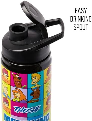 Silver Buffalo Scooby-Doo Meddling Crew, Stainless Steel Water Bottle, 25oz