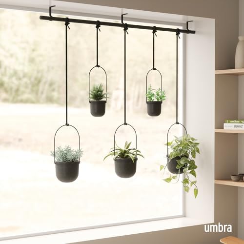 Umbra Triflora Hanging Planter, Window Herb Garden, Set of 5, Black/Black