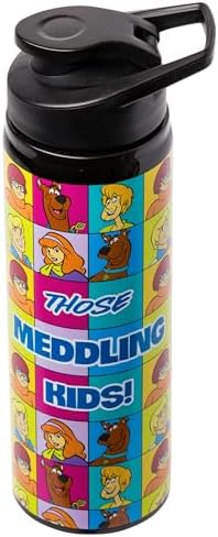 Silver Buffalo Scooby-Doo Meddling Crew, Stainless Steel Water Bottle, 25oz