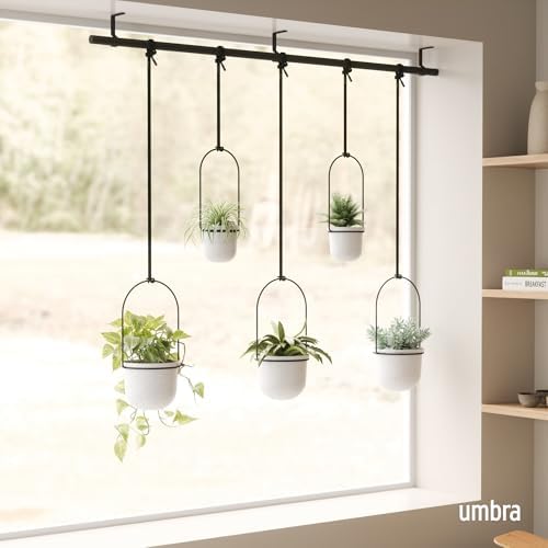 Umbra Triflora Hanging Planter, Window Herb Garden, Set of 5, White/Black