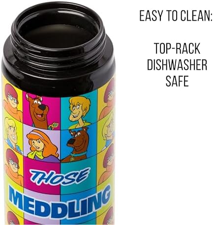 Silver Buffalo Scooby-Doo Meddling Crew, Stainless Steel Water Bottle, 25oz