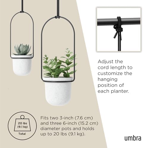 Umbra Triflora Hanging Planter, Window Herb Garden, Set of 5, White/Black