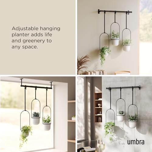 Umbra Triflora Hanging Planter, Indoor Herb Garden, Set of 3, White/Black