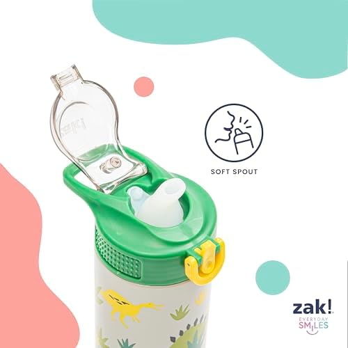 Zak Designs Sonic the Hedgehog Sage 19oz Leak-Proof Straw Kids Water Bottle