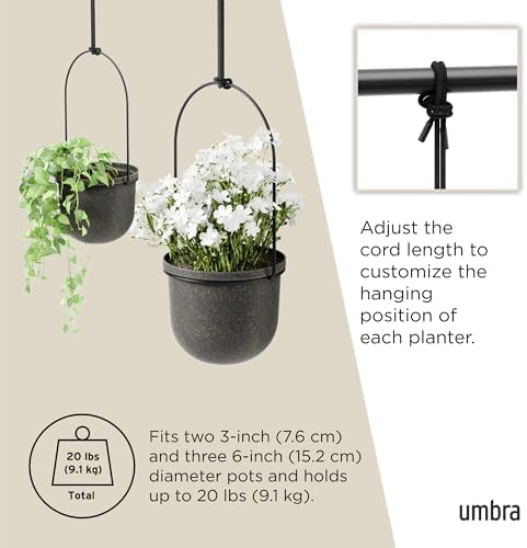 Umbra Triflora Hanging Planter, Window Herb Garden, Set of 5, Black/Black