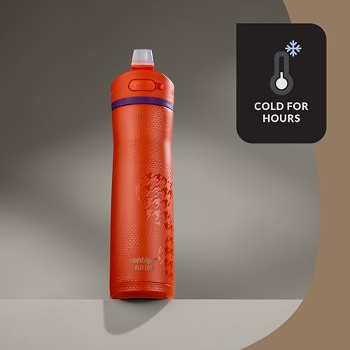 Contigo Ashland Chill 2.0 Stainless Steel Vacuum-Insulated Water Bottle with AUTOSPOUT Easy-Clean Lid, Leak-proof Drinking, Keeps drinks cold for 24 hours, BPA-Free, 24oz., Tangerine