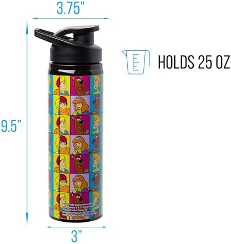 Silver Buffalo Scooby-Doo Meddling Crew, Stainless Steel Water Bottle, 25oz