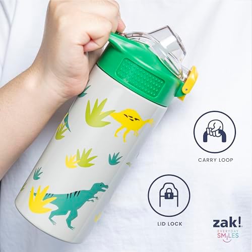 Zak Designs Sonic the Hedgehog Sage 19oz Leak-Proof Straw Kids Water Bottle