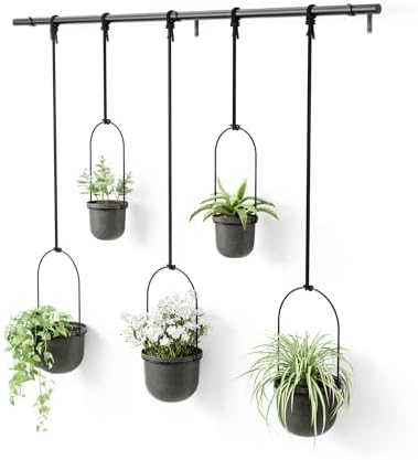 Umbra Triflora Hanging Planter, Window Herb Garden, Set of 5, Black/Black