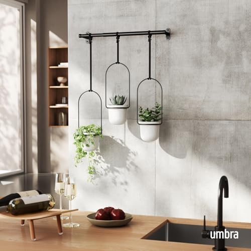 Umbra Triflora Hanging Planter, Indoor Herb Garden, Set of 3, White/Black