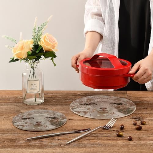 Kitchen Set of 2 Potholders Trivets, Grace Farm Goat Flowers Woven Hot Pot Coasters Placemats for Cooking Baking Hot Dish Pan Pot Bowl Teapot(7&9 Inches Diameter)