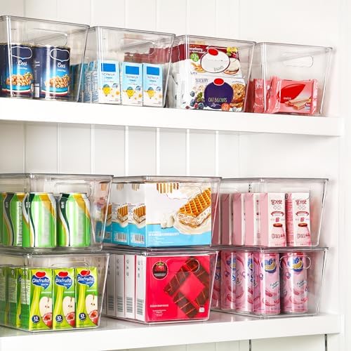 Vtopmart 10 Pack Clear Stackable Storage Bins with Lids and Handles, Large