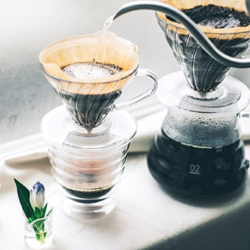 Hario V60 Plastic Coffee Dripper, Size 03, Clear (Pack of 2)