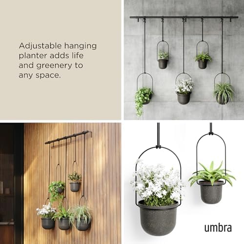 Umbra Triflora Hanging Planter, Window Herb Garden, Set of 5, Black/Black
