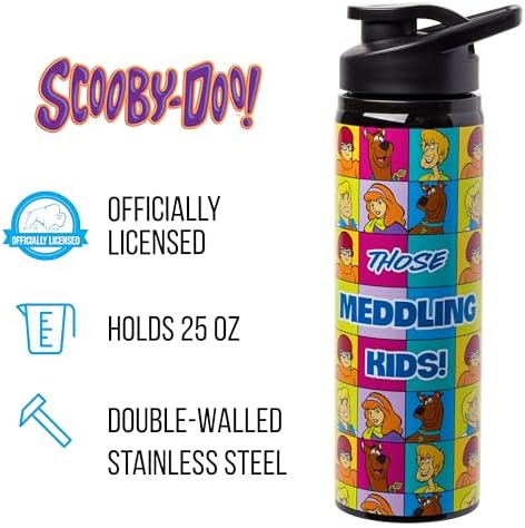 Silver Buffalo Scooby-Doo Meddling Crew, Stainless Steel Water Bottle, 25oz