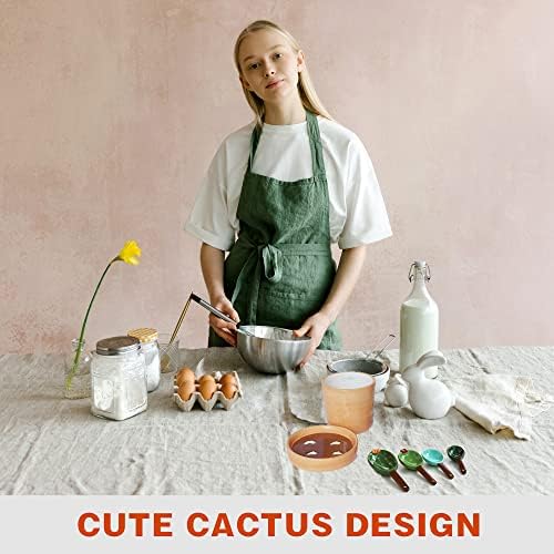 Cactus Measuring Spoons Set in Pot, Cute Ceramic Measuring Cups