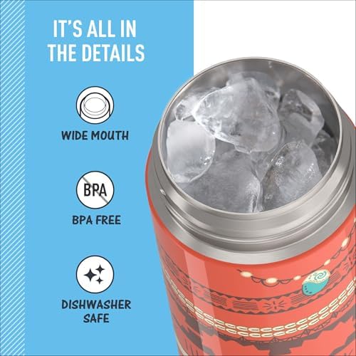 THERMOS FUNTAINER Water Bottle with Spout, 16oz, Princess Moana