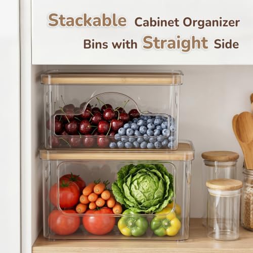 Hudgan Potato and Onion Storage Bin for Pantry Organizer, Veggie Container