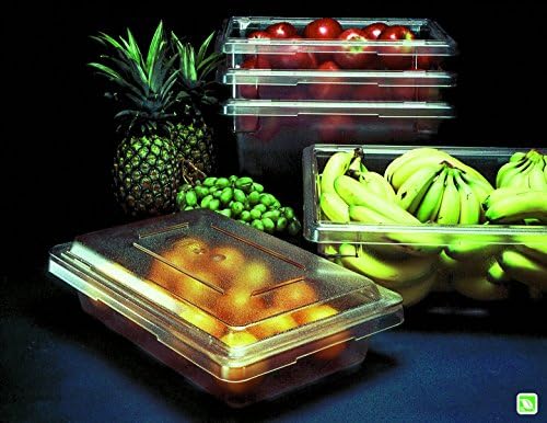 Rubbermaid Commercial Products Food Storage Box/Tote for Restaurant/Kitchen/Cafeteria, 5 Gallon, White (FG350600WHT) (Pack of 2)
