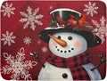 Christmas Snowman Dish Drying Mat by Aytipun