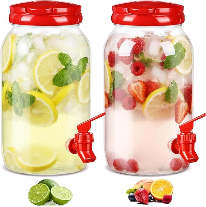 Havawish 2 Pcs 1 Gallon Plastic Beverage Dispenser by Havawish