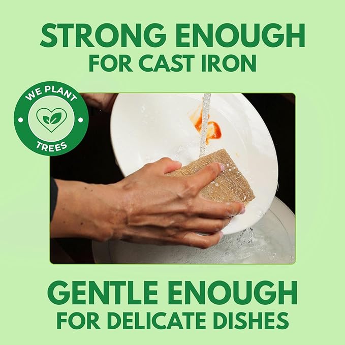 AIRNEX Biodegradable Natural Kitchen Sponges Pack of 6 - Image 3