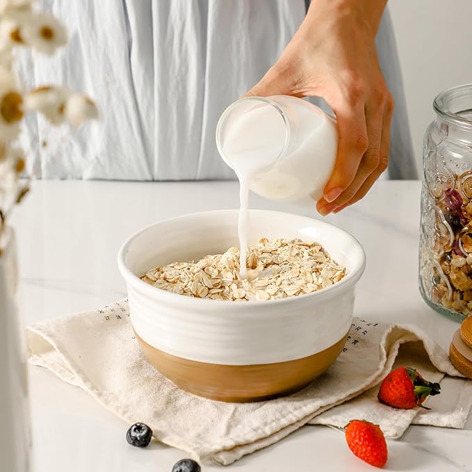HASENSE Ceramic Cereal Bowls, 20 OZ Soup Bowls - Image 4