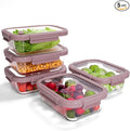 5-Pack Borosilicate Glass Containers by BOROHOUSE