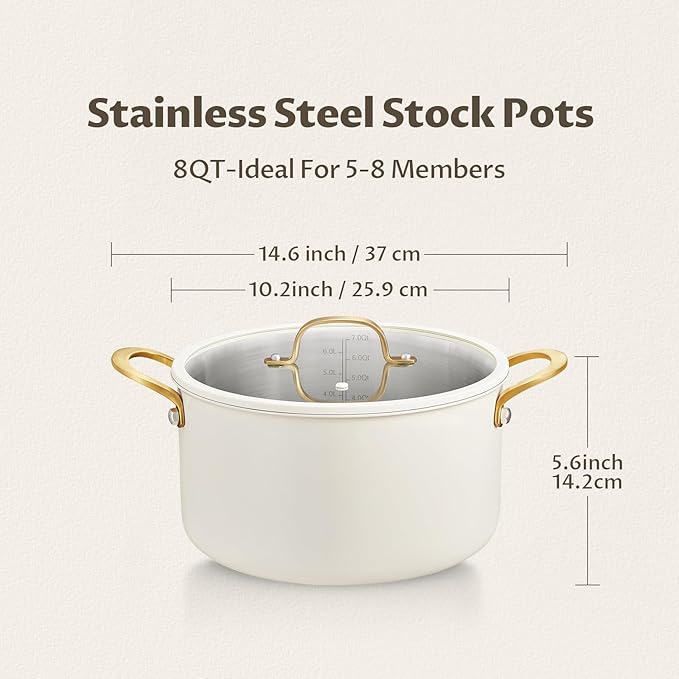 BEZIA 8 Quart Stainless Steel Stock Pot, Casserole - Image 8