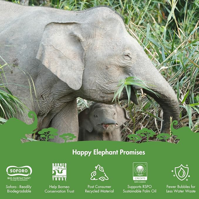 Happy Elephant Dish Soap, White Tea & Fig Scent, Natural Biodegradable Liquid Dish Soap, Plant Based, Grease Fighting, Tough on Food, Gentle on Hands, No Synthetic Fragrance, 12 Fl Oz