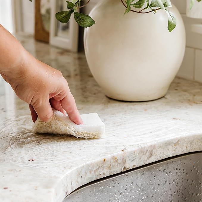 Full Circle Nutcase, Plant-Based Scrubber Sponges – Pack of 6 – 3 Walnut & 3 - Image 10