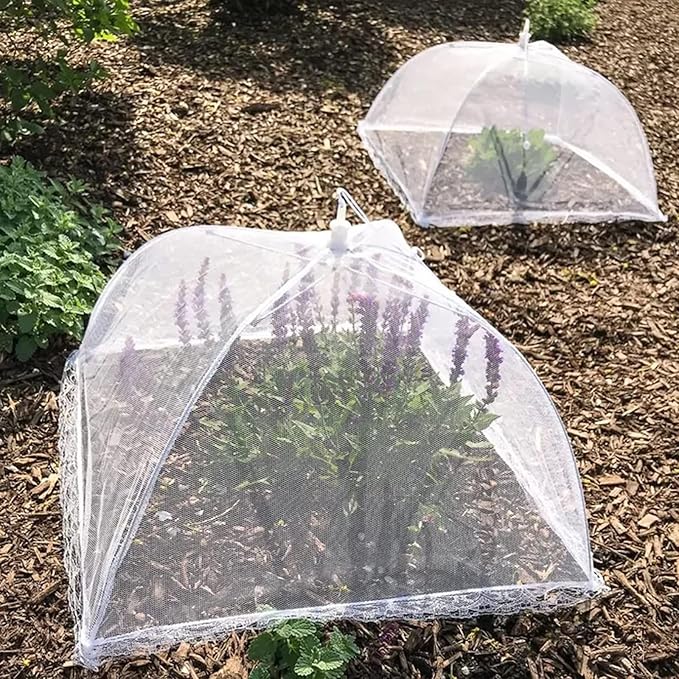Simply Genius Pop-Up Outdoor Food Covers to Keep Bugs Away - Image 5