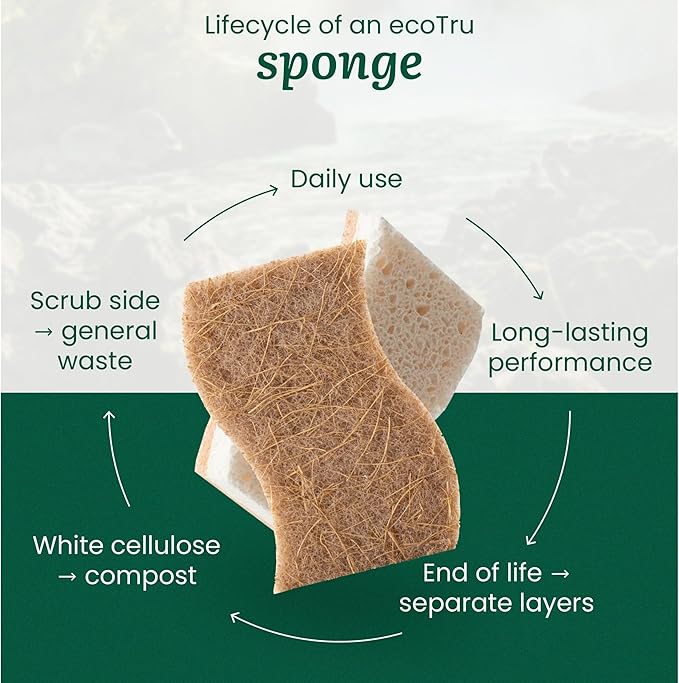 12 Pack Natural Kitchen Sponges, Compostable White Cellulose & Organic Coconut - Image 8