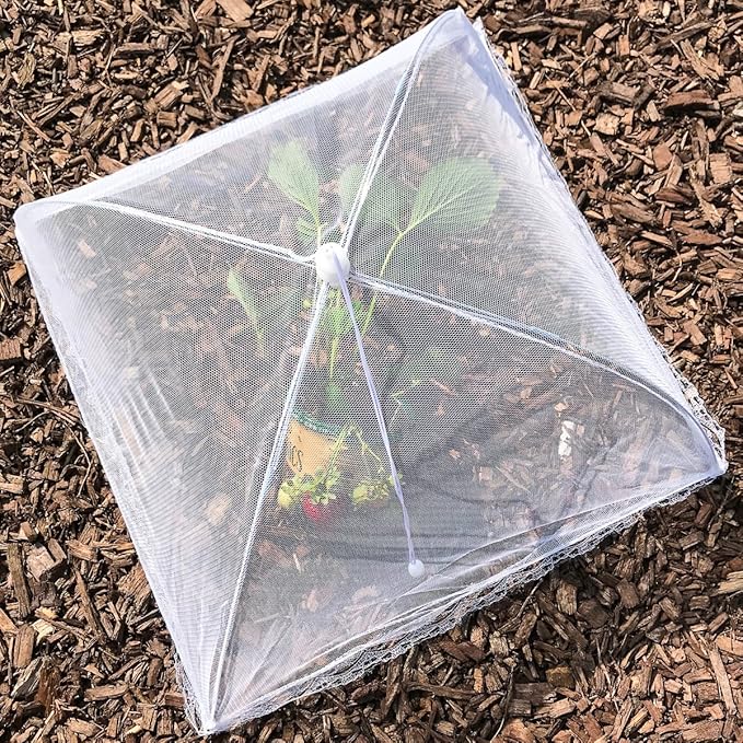 Simply Genius Pop-Up Mesh Food Cover Tent - Image 7
